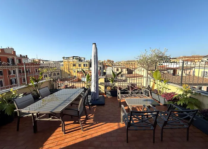 New - The Rhome Roma