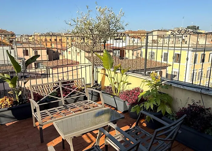 New - The Rhome Roma