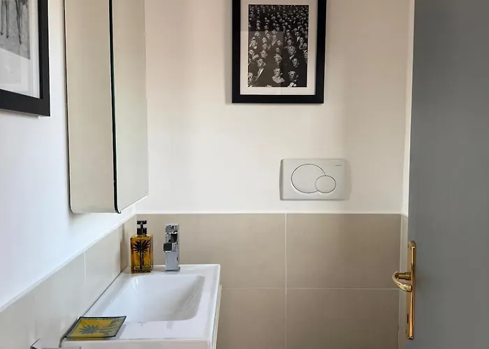 New - The Rhome Roma